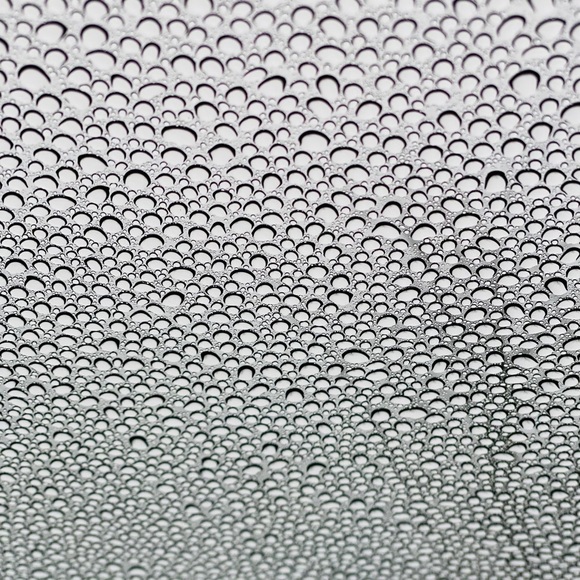 Meet your Posher, Ranjit - Picture 1 of 1